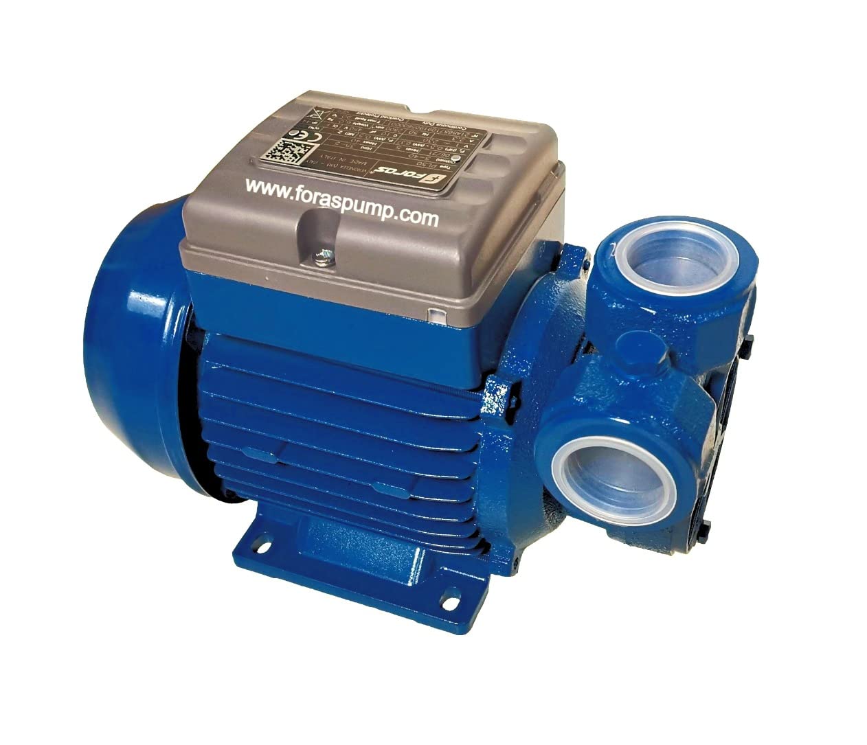 FORAS Bomba periférica eléctrica PL100, fabricada en Italia, funcionamiento continuo, Pentax antibloqueo, 230 V, 0,74 kW, 5-50 l/min, 65-18 m