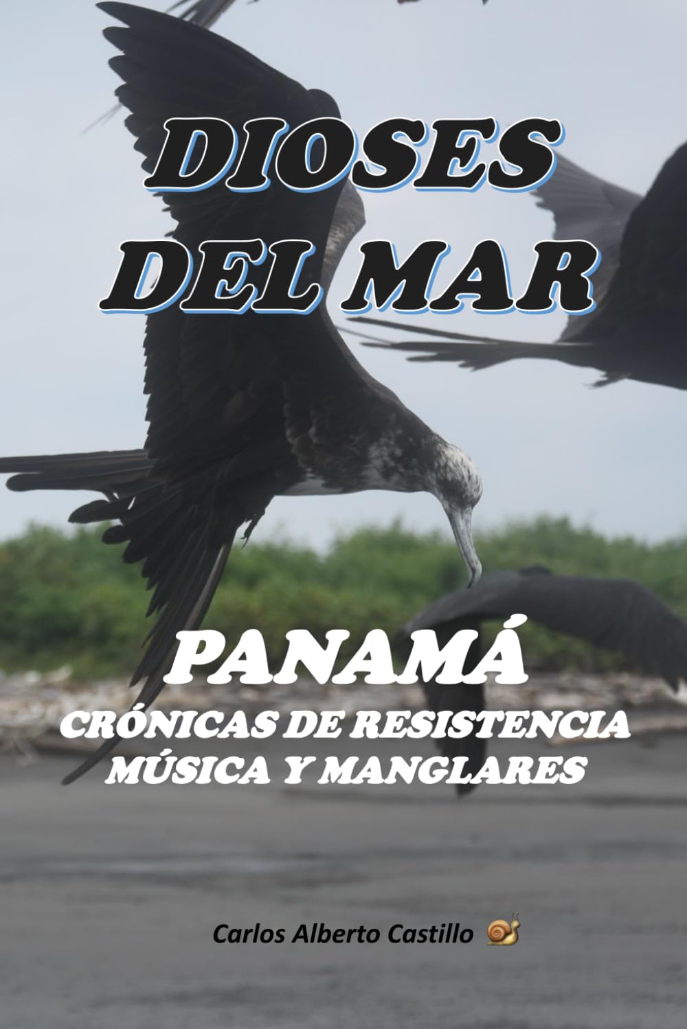 PANAMÁ: Crónica de resistencia, música y manglares