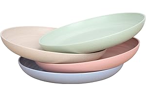 LuckyZone Unbreakable Wheat Straw Plate: Microwave and Dishwasher Safe