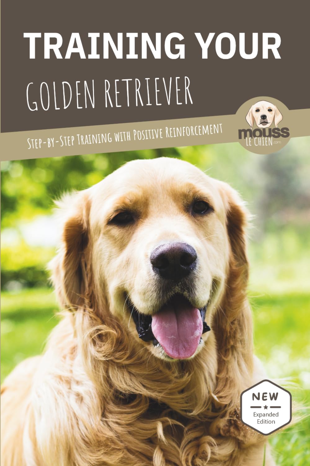 TRAINING YOUR GOLDEN RETRIEVER: Step-by-Step Training with Positive Reinforcement