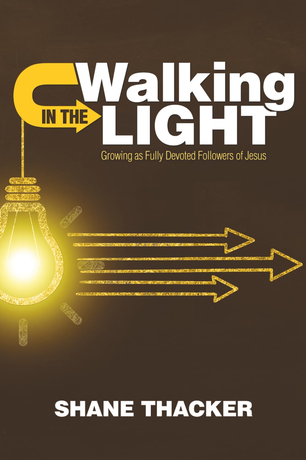 Walking in the Light: Growing As Fully Devoted Followers of Jesus