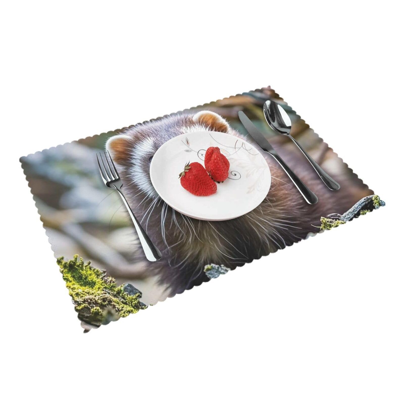 Placemats Set of 4 Heat Resistant Woven Place Mats for Dining Table Hairy Ferret Placemats Washable Wipeable PVC Table Mats Indoor/Outdoor Place Mats for Party Kitchen Decor 30x45 cm