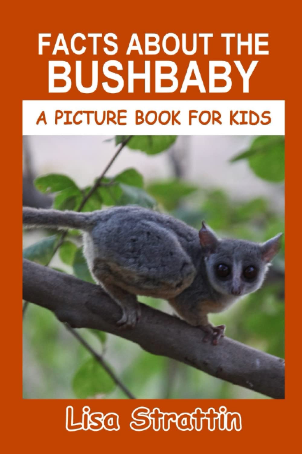 Facts About The Bushbaby (A Picture Book For Kids)