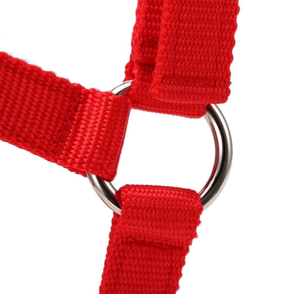 JINGBA S/M/L de 6 mm Collar Espesado de la Cabeza de Caballo Cuerda Ajustable Halter Brida de Seguridad ronzal Hípica Racing Equipo de Entrenamiento (Color : Red L)