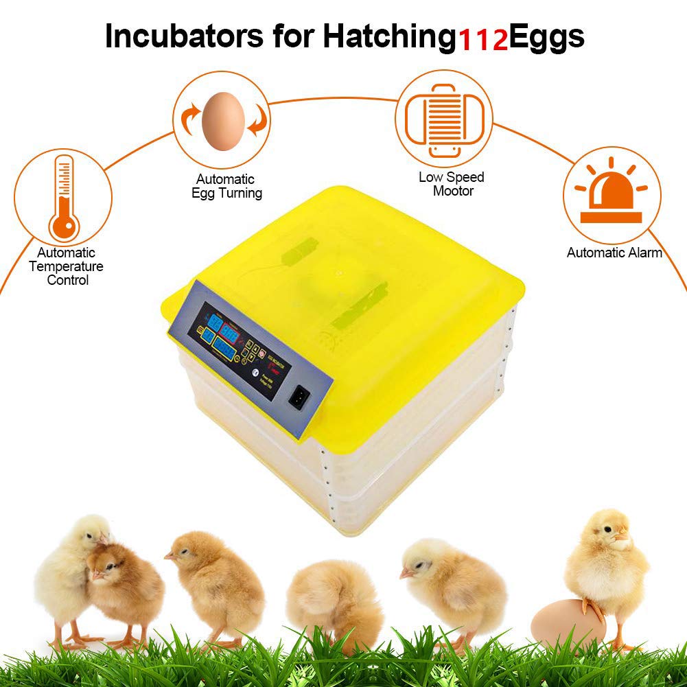 Buy Digital Display 112Egg Hatcher Incubator for Hatching Eggs with Automatic Turner