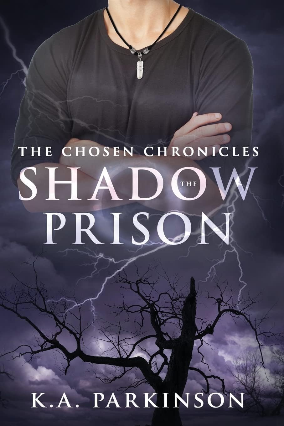 The Shadow Prison (The Chosen Chronicles)