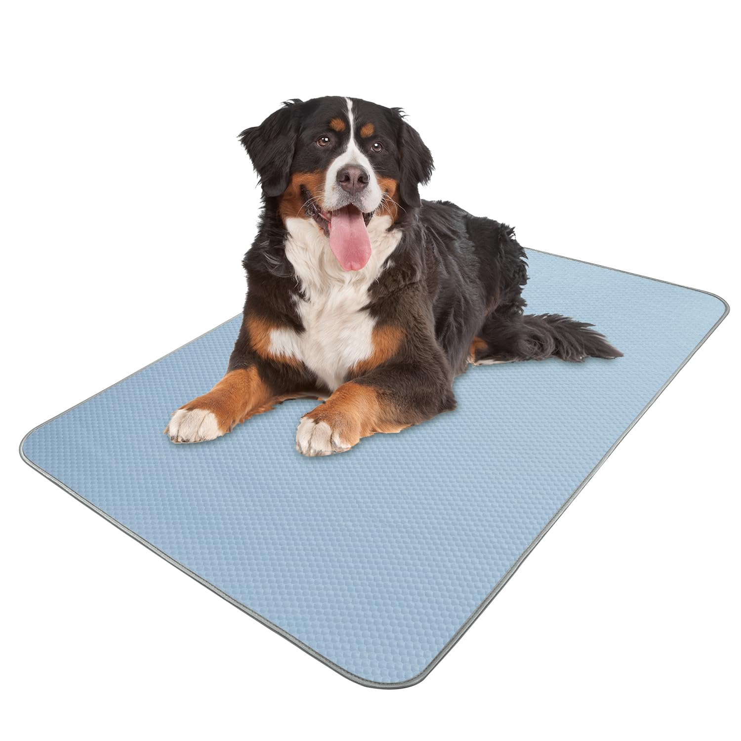 Tapis de refroidissement d'été lavable en soie glacée pour grands chiens et chats, 150 x 101,6 cm, tapis de couchage pour cage, lit, sol intérieur et extérieur, sièges de voiture