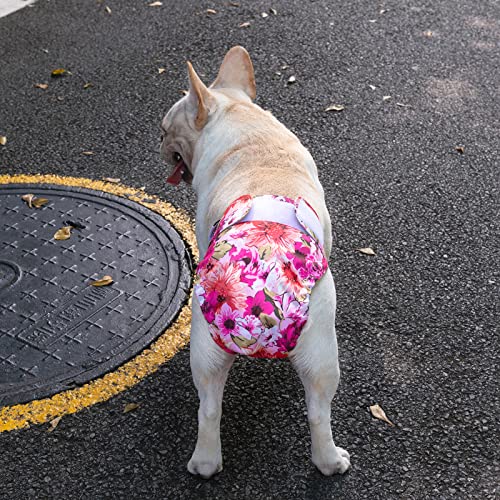 Image of CuteBone Washable Dog Diapers Female No Tail Hole 3 Pack Reusable Doggie Period Training Pants for Docked-Tail Frenchie French Bulldog Boston Terrier Without Tail WWD02L