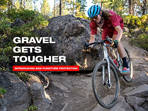 Wtb Nano 40 X 700 Tcs Light/Fast Rolling 120Tpi Dual Dna Sg2 Tire, Black #TOP4