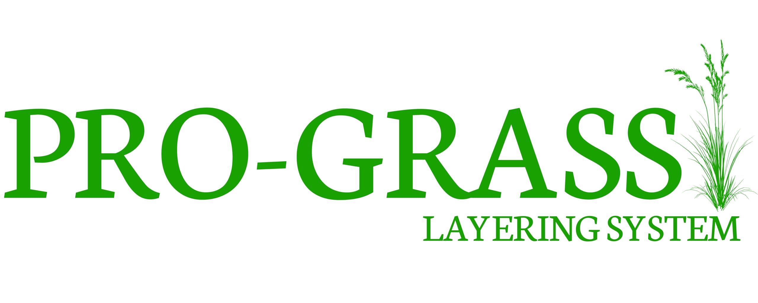 Pro Grass Layering System Summer Grass Starter Kit con colla - WSSK015 | Kit erba statica per diorami e modellazione ferroviaria