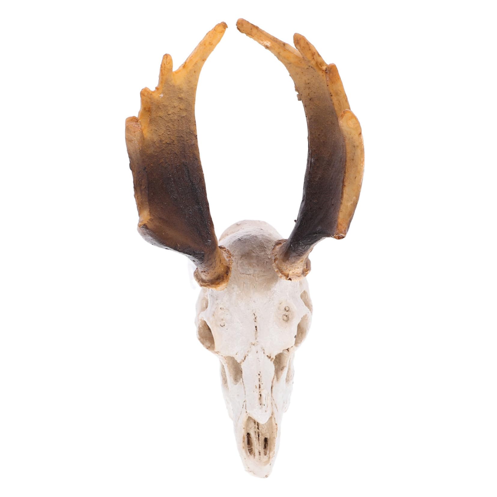 Abaodam Deer Skull Reptile Hiding Cave Durable Reptile Shelter for Terrarium Decor for Snakes Lizards and Frogs Eye Catching Habitat Accessory