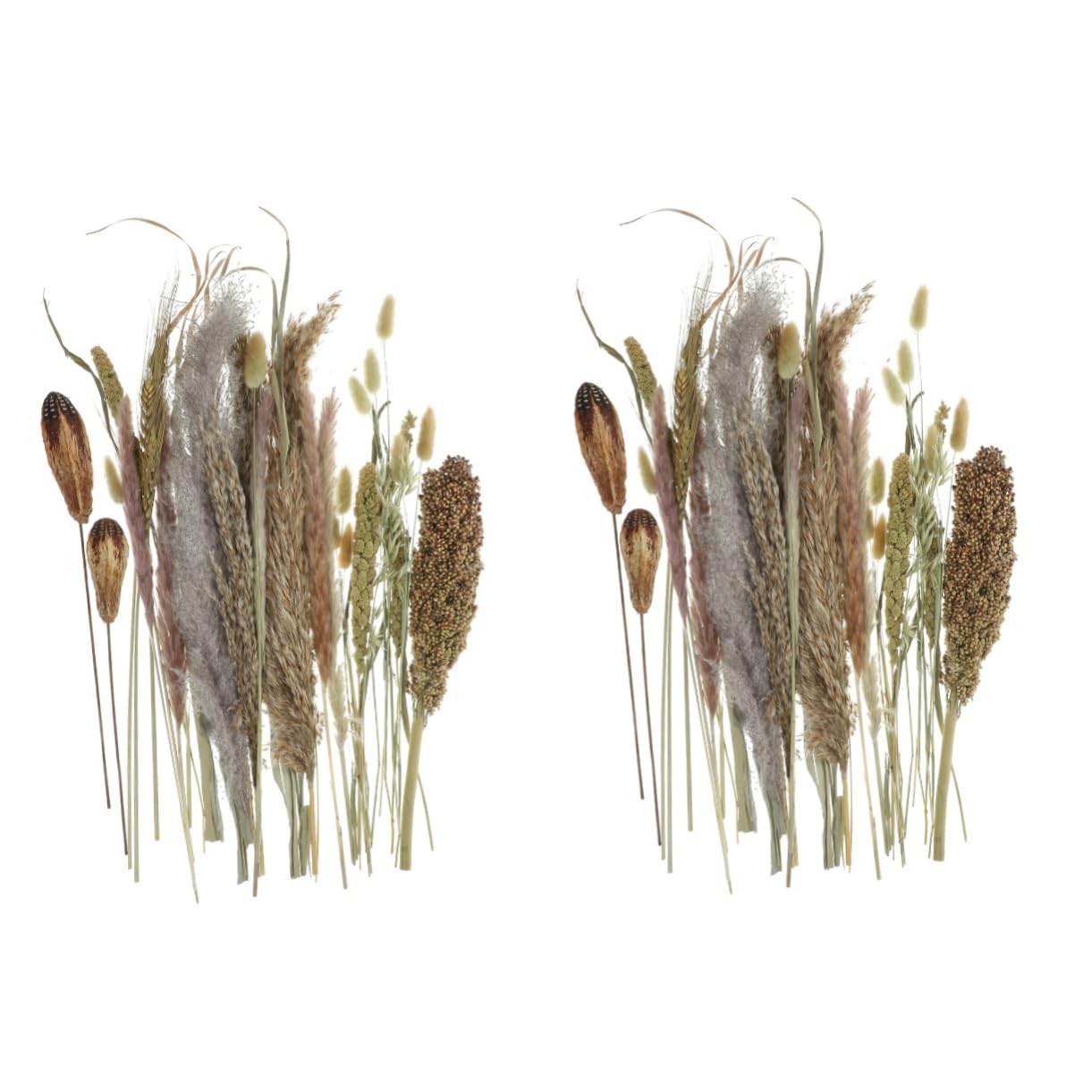 DECHOUS 2pezzi Bundle Di Decorazioni Naturali Pampas e Broomcorn Per Vasi Bouquet Essiccati Per Arredare Casa e Eventi Speciali Atmosfera Bohemien e Nordic