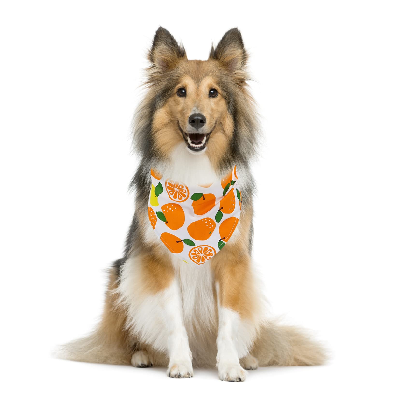 INOOMP 15pièces Bandanas pour Chien Respirant Écharpes Colorées pour Animaux Prévention Salive Et du Déversement Set De Motifs Fruits