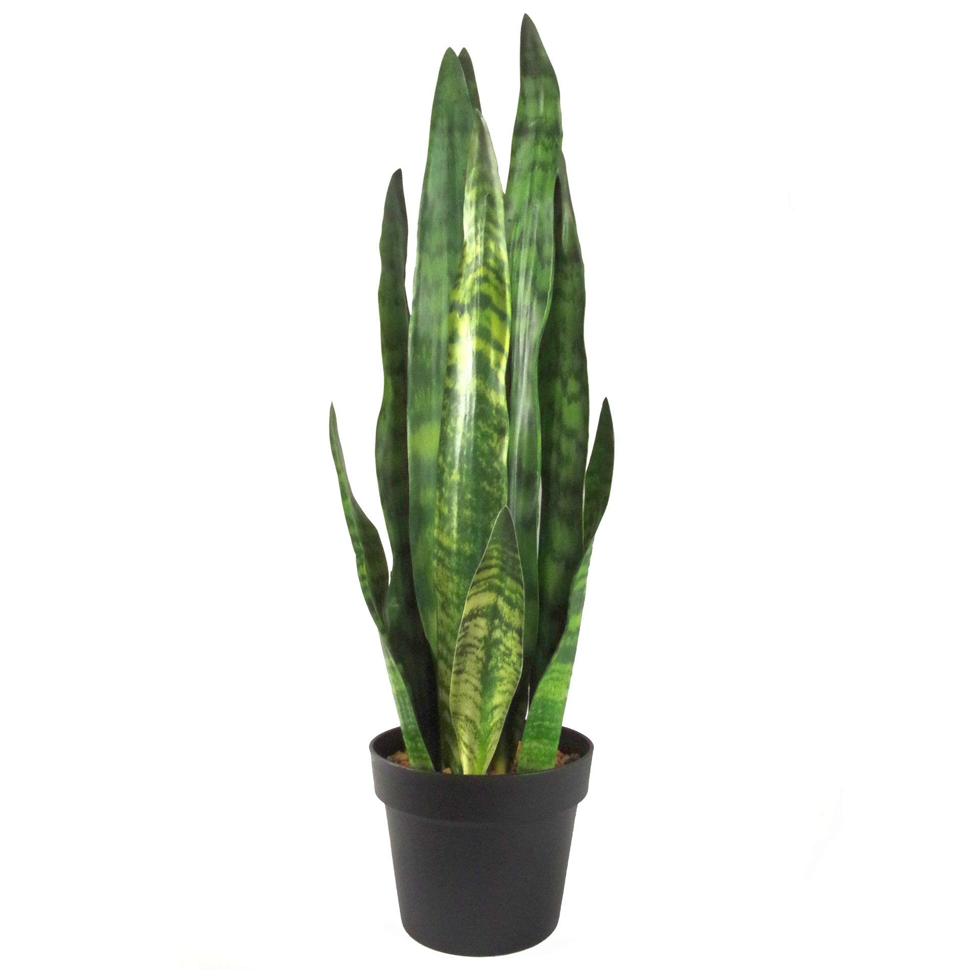 Leaf Sansevieria Zeylanica Artificial Plant 70cm Green Plastic