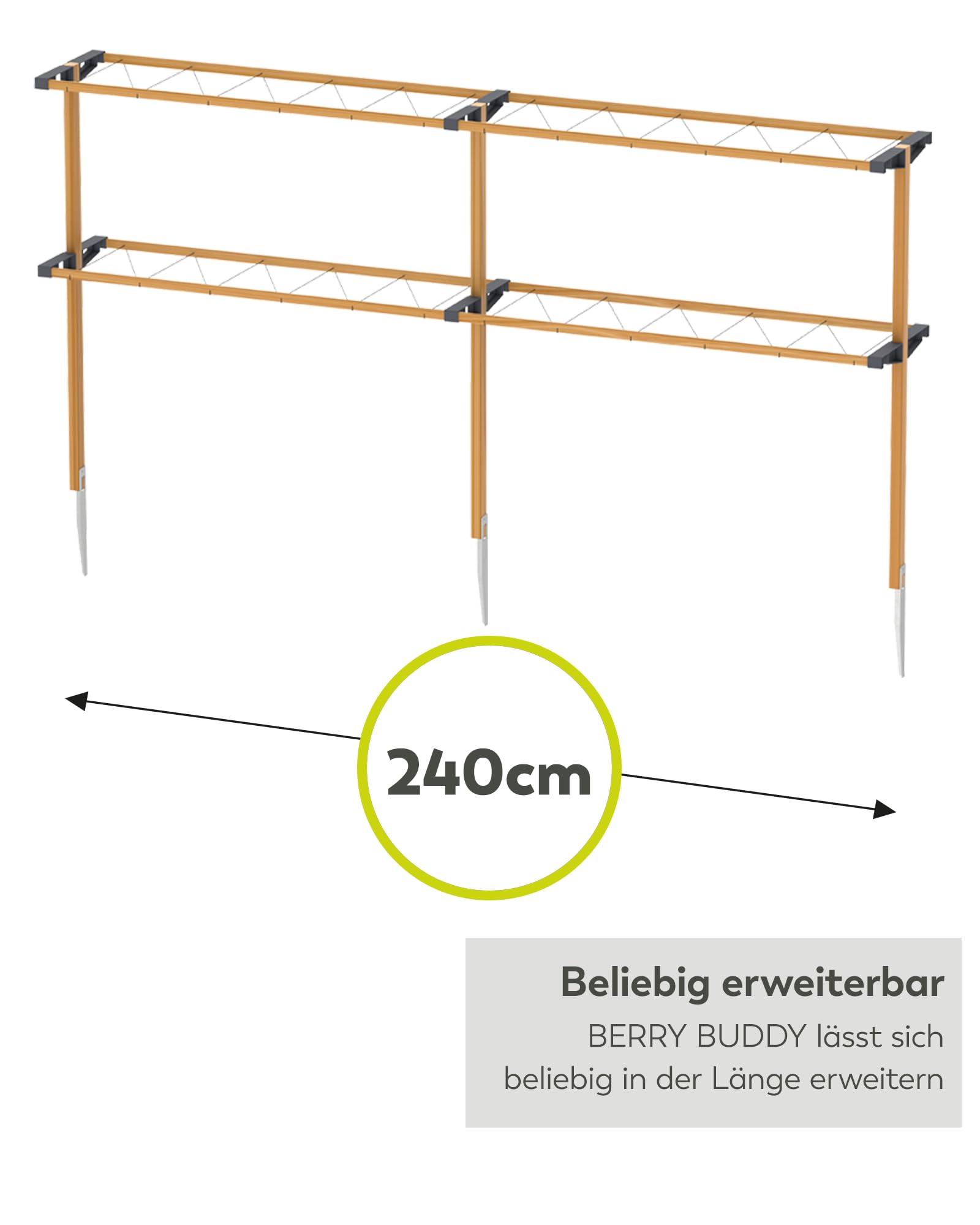 Gusta Garden Berry Buddy - Flexible Rankhilfe für Beeren: Himbeeren, Brombeeren & Heidelbeeren, erweiterbar, produziert in der EU, Rankgitter aus Holz (240cm)