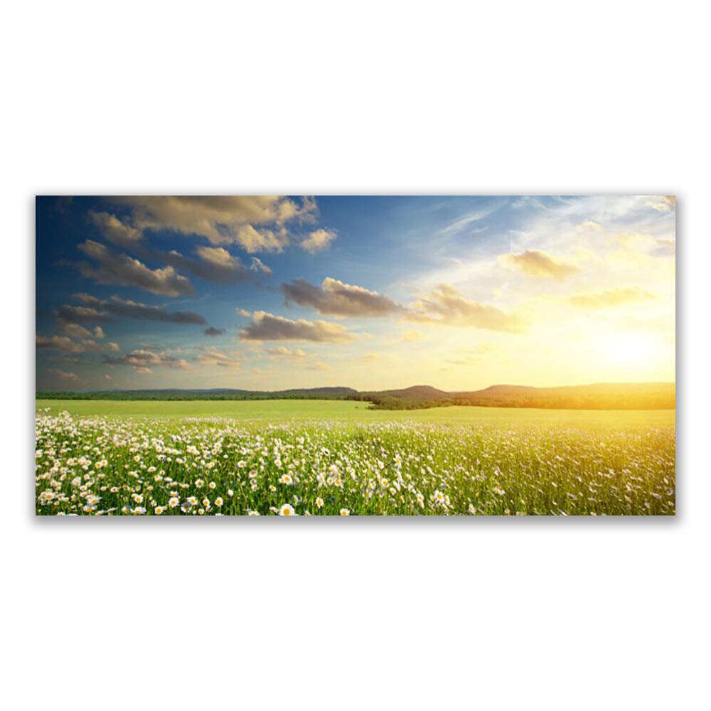 Impression sur Toile 120x60cm Meadow pour Salon Lumineux et Moderne