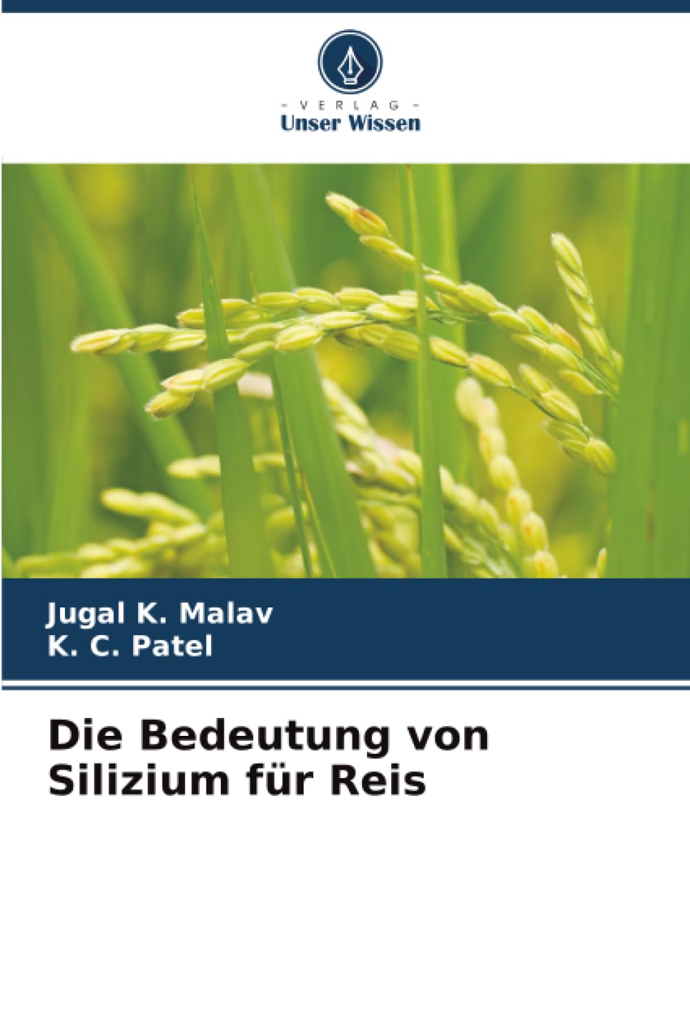 Die Bedeutung von Silizium für Reis