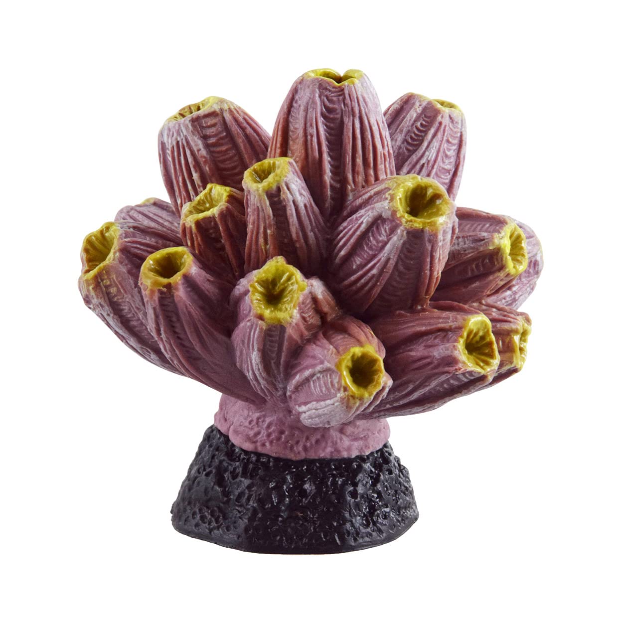 Underwater TreasuresBarnacle - Purple/Yellow