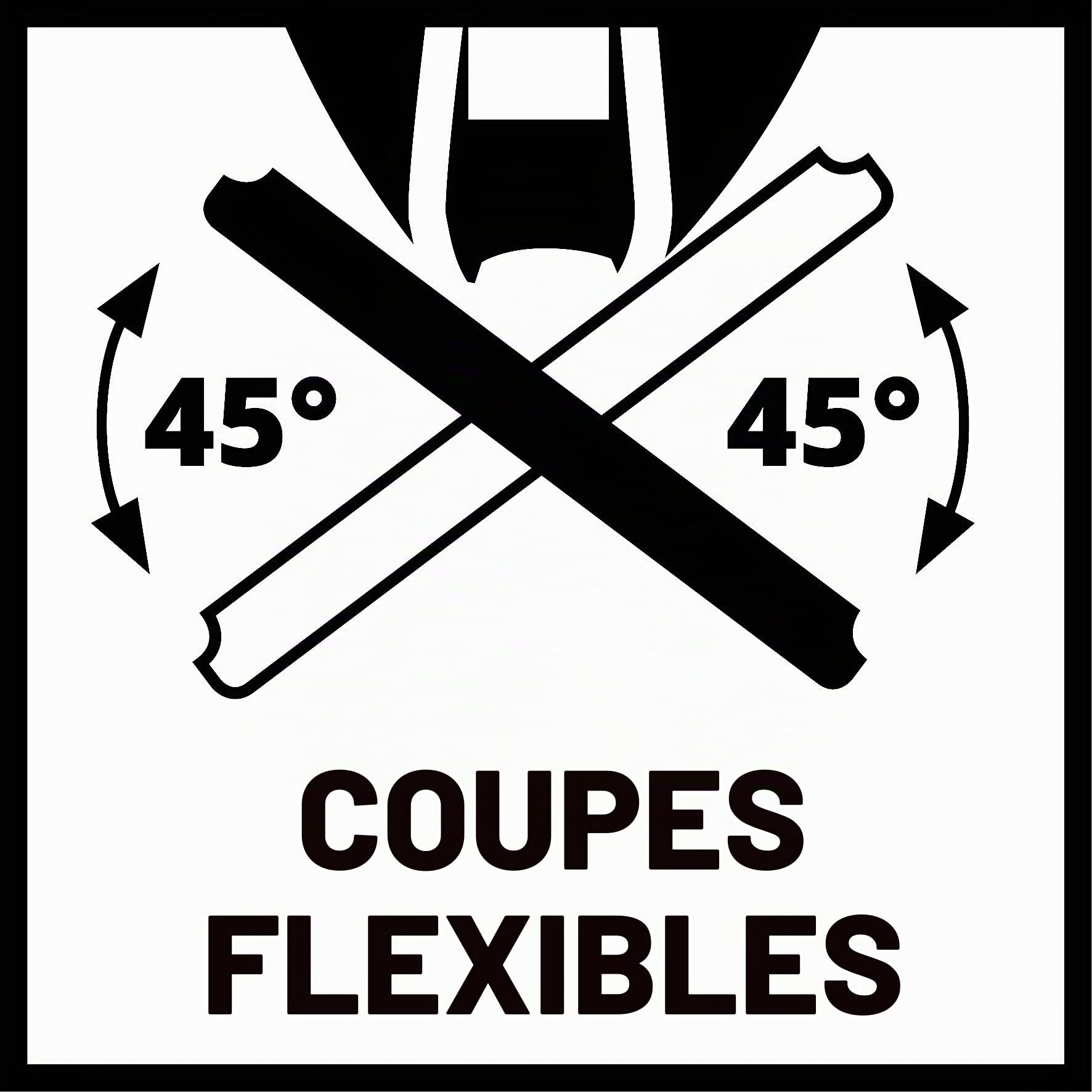 Einhell Scie sauteuse TC-JS 60/1 (400 W, 240 V, Maximum 60 mm, 45 ° Inclinaison Coupe, vitesse de rotation électronique)