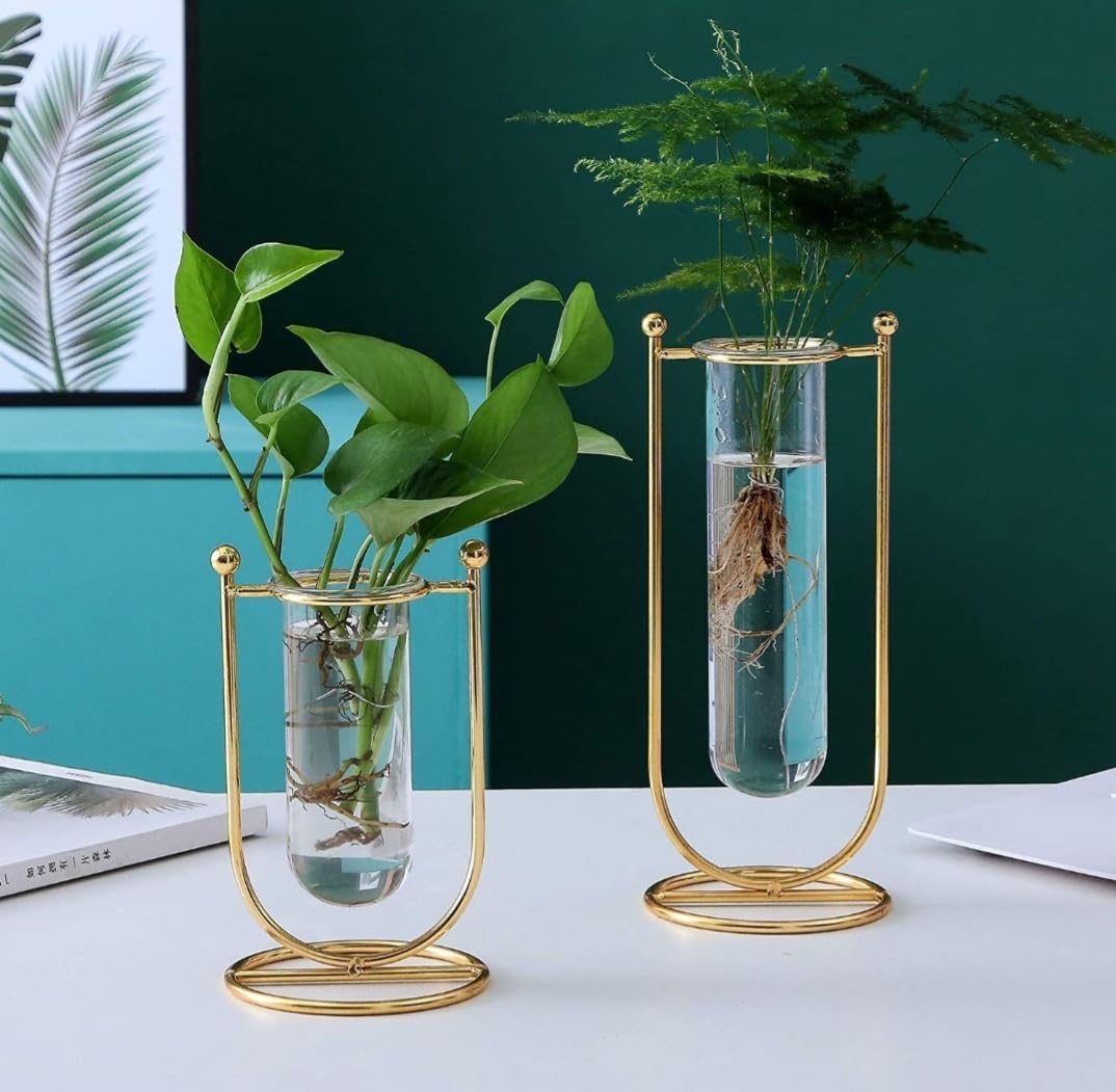 MAXXINN Propagation Station Test Tube Flower Vase for Home Decor with Metal Frame Testube Glass Item Gift Bedroom Office Corner Living Room Decoration (B0D8J4611B) Amazon Price History, Amazon Price Tracker