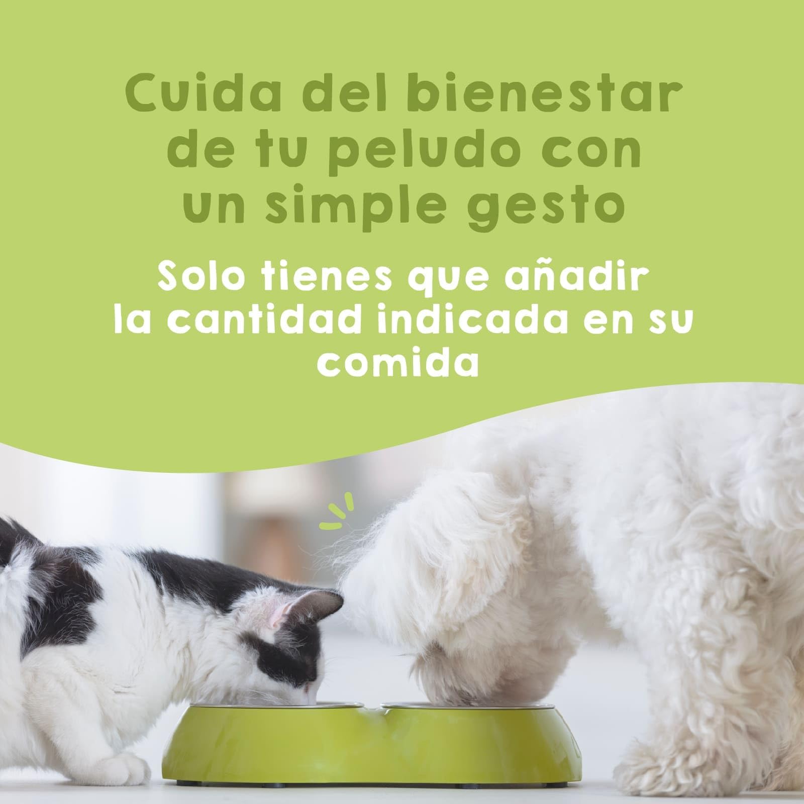 MAIKAI Probióticos para Perros y Gatos - Apoyo Digestivo + Inmunológico Natural - Antidiarreico en Polvo con Omega 3 + Boldo + Coenzima Q10 - Suplemento 150 g para Flora Intestinal y Defensas