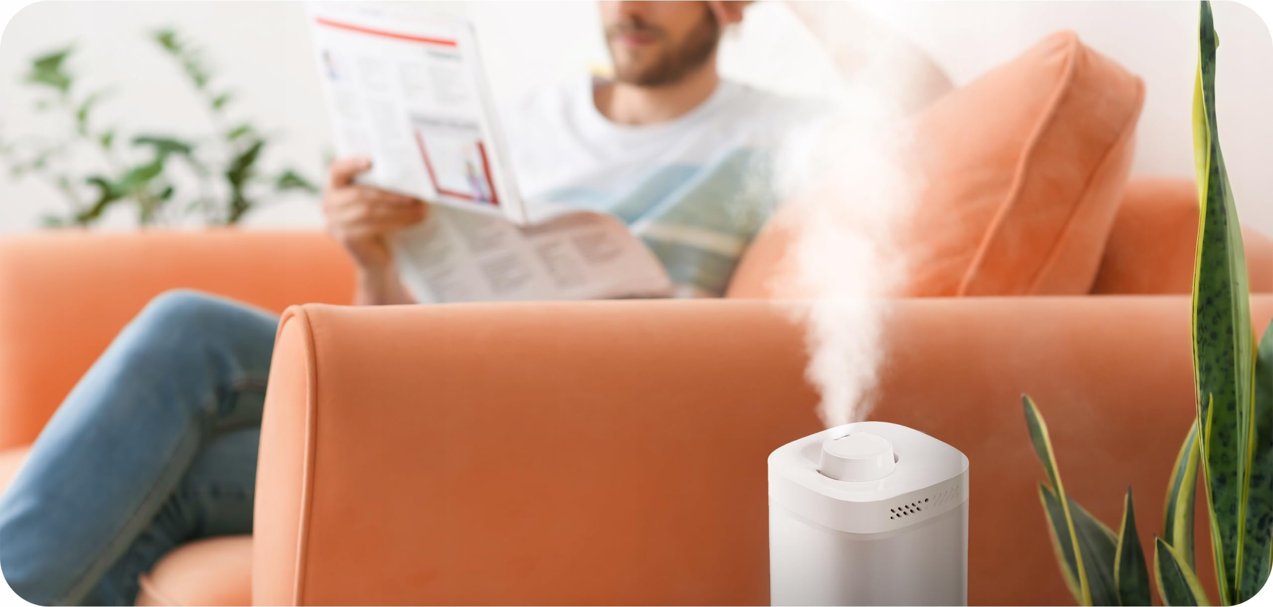 Umidificatore 3,5L con aromaterapia, diffusore ad ultrasuoni per oli essenziali, purificatore d'aria e umidificatore, umidificatore silenzioso per camera da letto, piante, appartamento