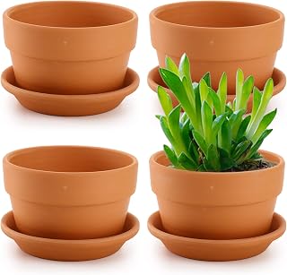 Suwimut 4 Pack 6 Inch Terracotta Pots with Saucers - Drainage Hole Clay Planters for Succulents, Cactus, Indoor Outdoor Plants
