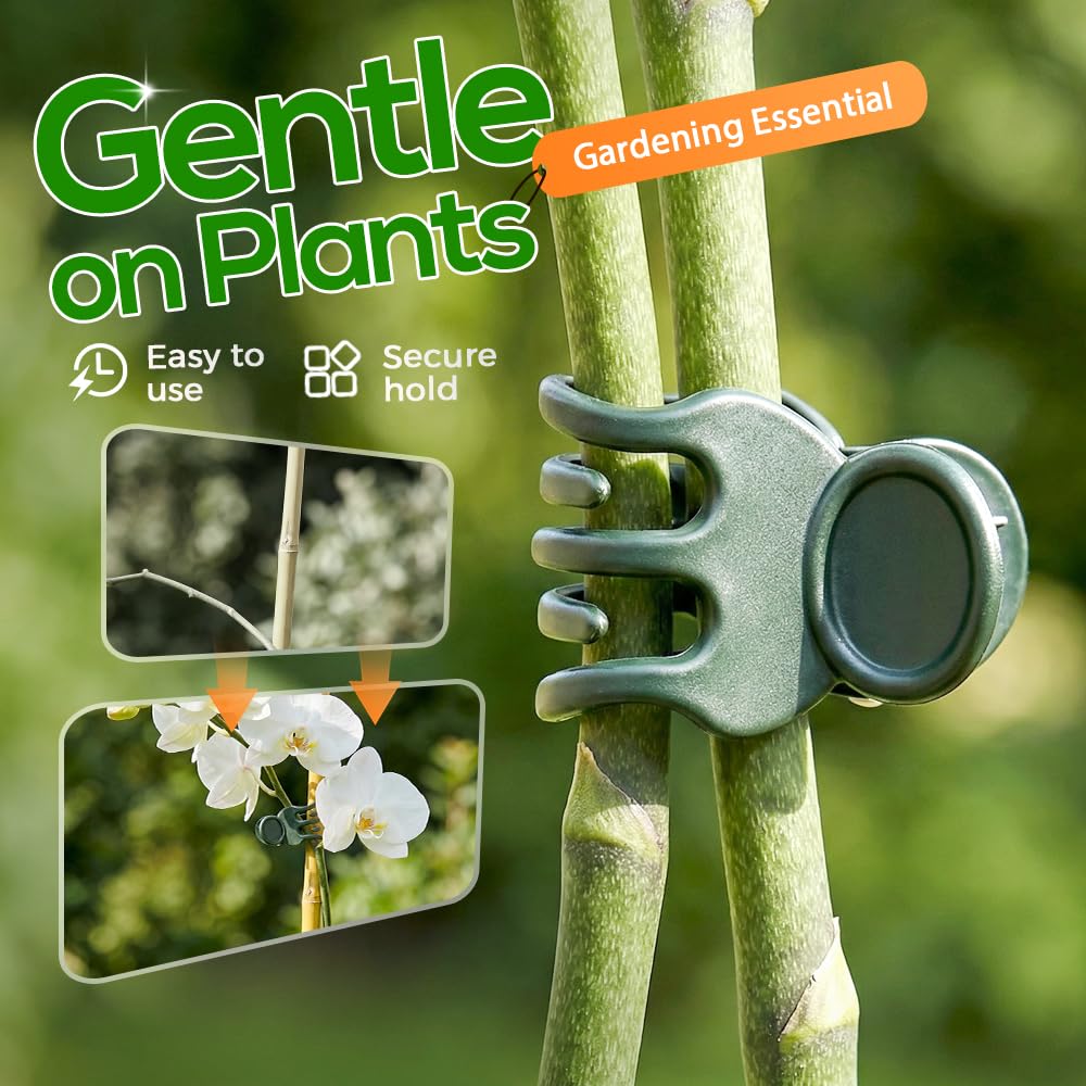 Supporti per Piante. Clip for Piante rampicanti, Orchidee, pomodori, cetrioli, Viti - 100/200/300 Pezzi(300PC)
