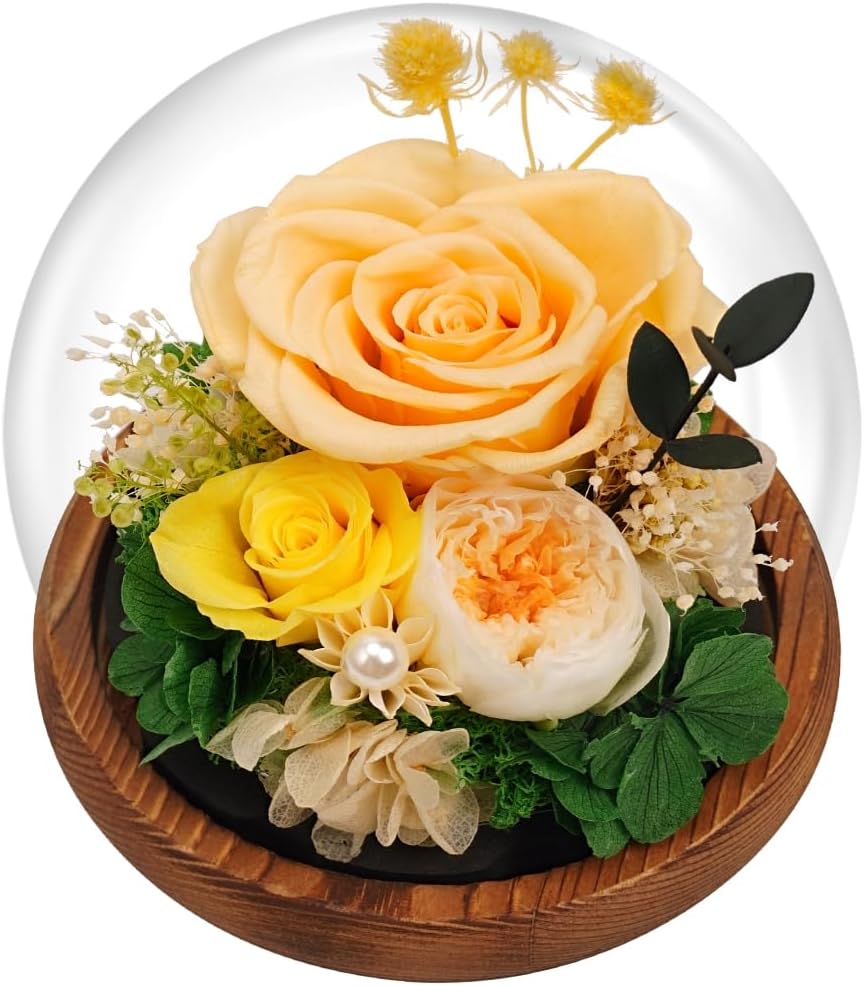 EIGHTOWN Yellow Roses Preserved Real Flower in Glass Dome - Real Rose Gift for Her - Forever Gift for Valentines Day, Mothers Day, Birthday, Anniversary, Wedding, Thanksgiving (Yellow)