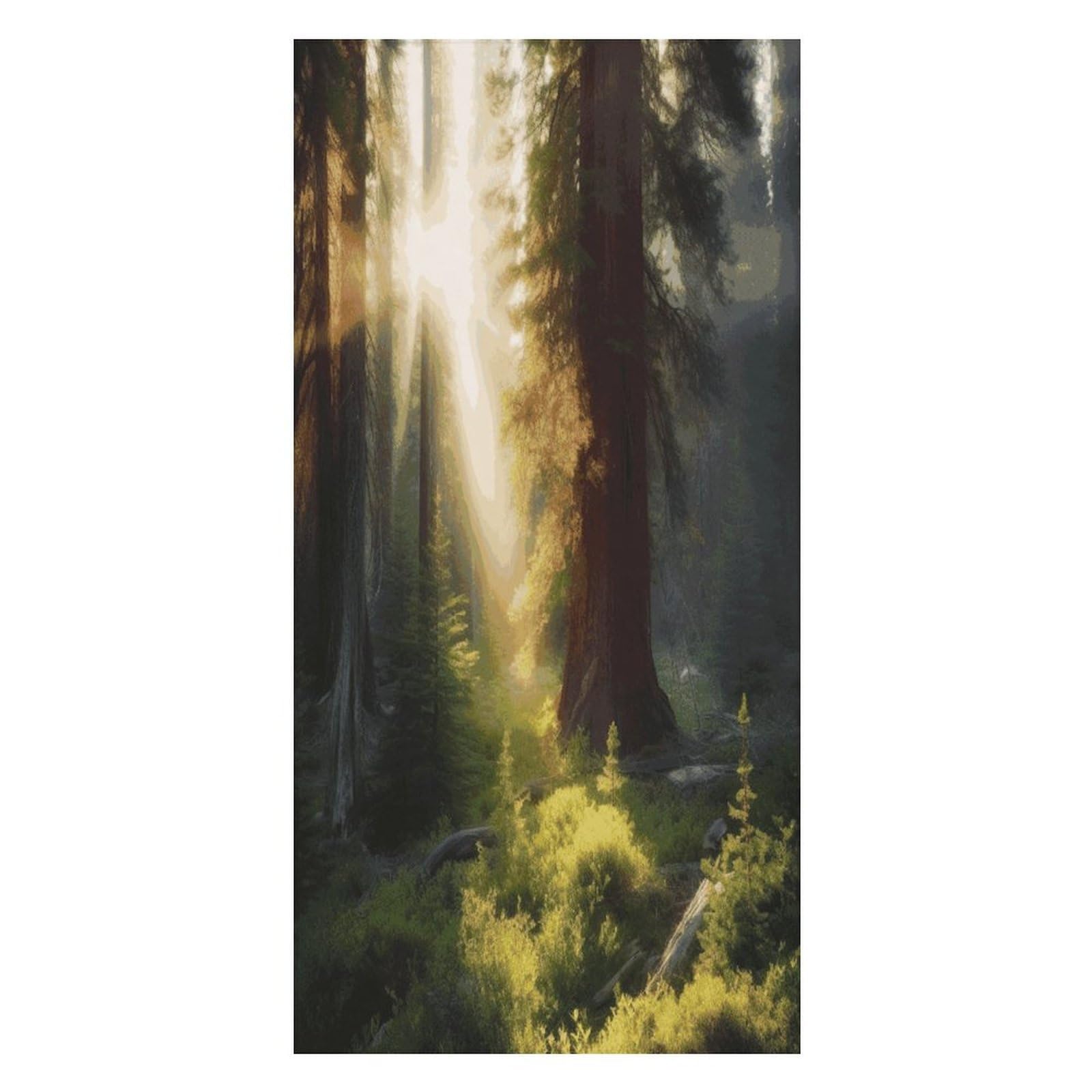 JTREHY Morning Sunlight in Wilderness Beach Towel Extremely Soft Oversized Towels Lightweight Sports Absorbent Bath Towel Suitable 160"x80" for Swimming Camping Beach