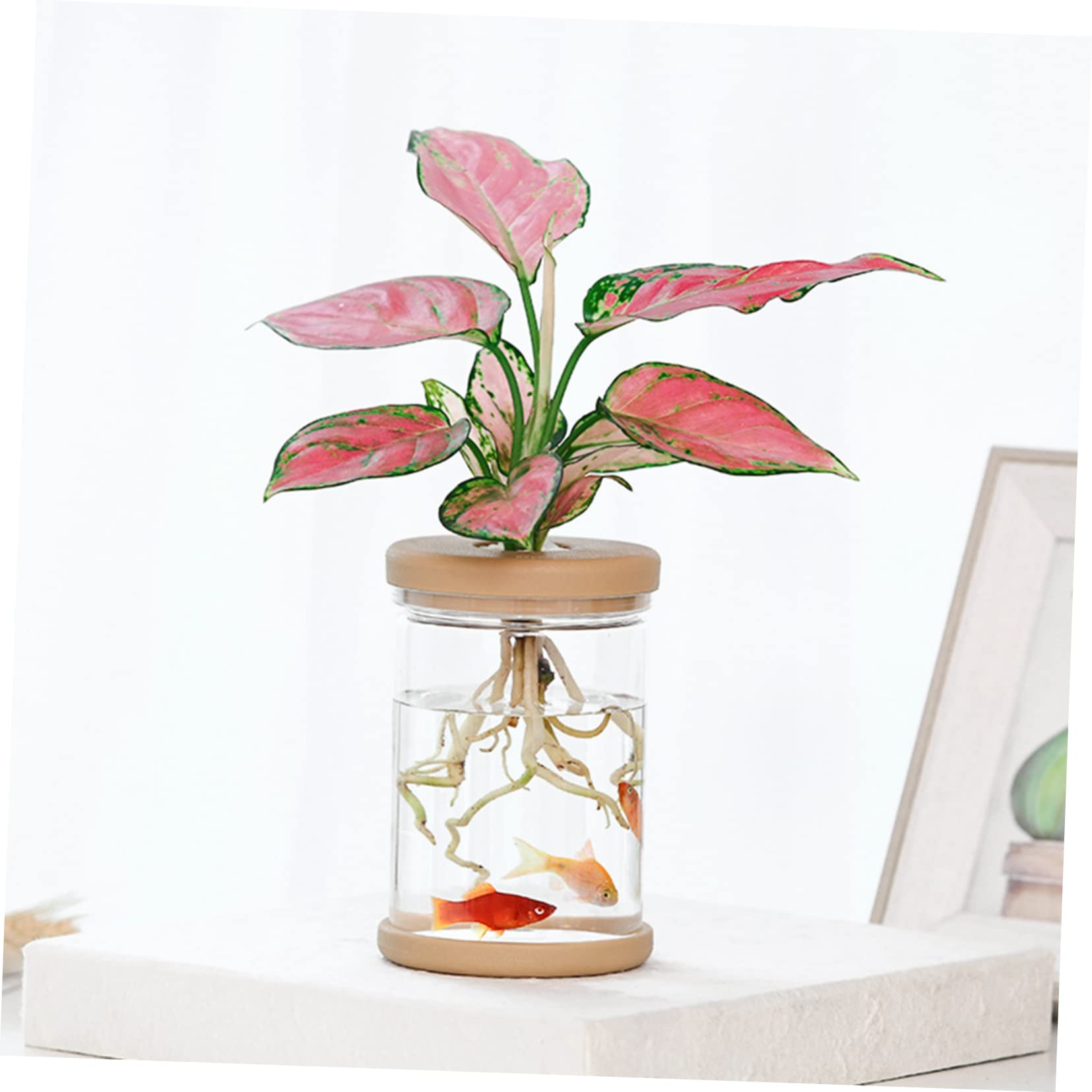 Vaso Idroponico In Vetro Trasparente Con Supporto In Metallo - Decorazione Da Tavolo Per Piante (Oro Rosa)
