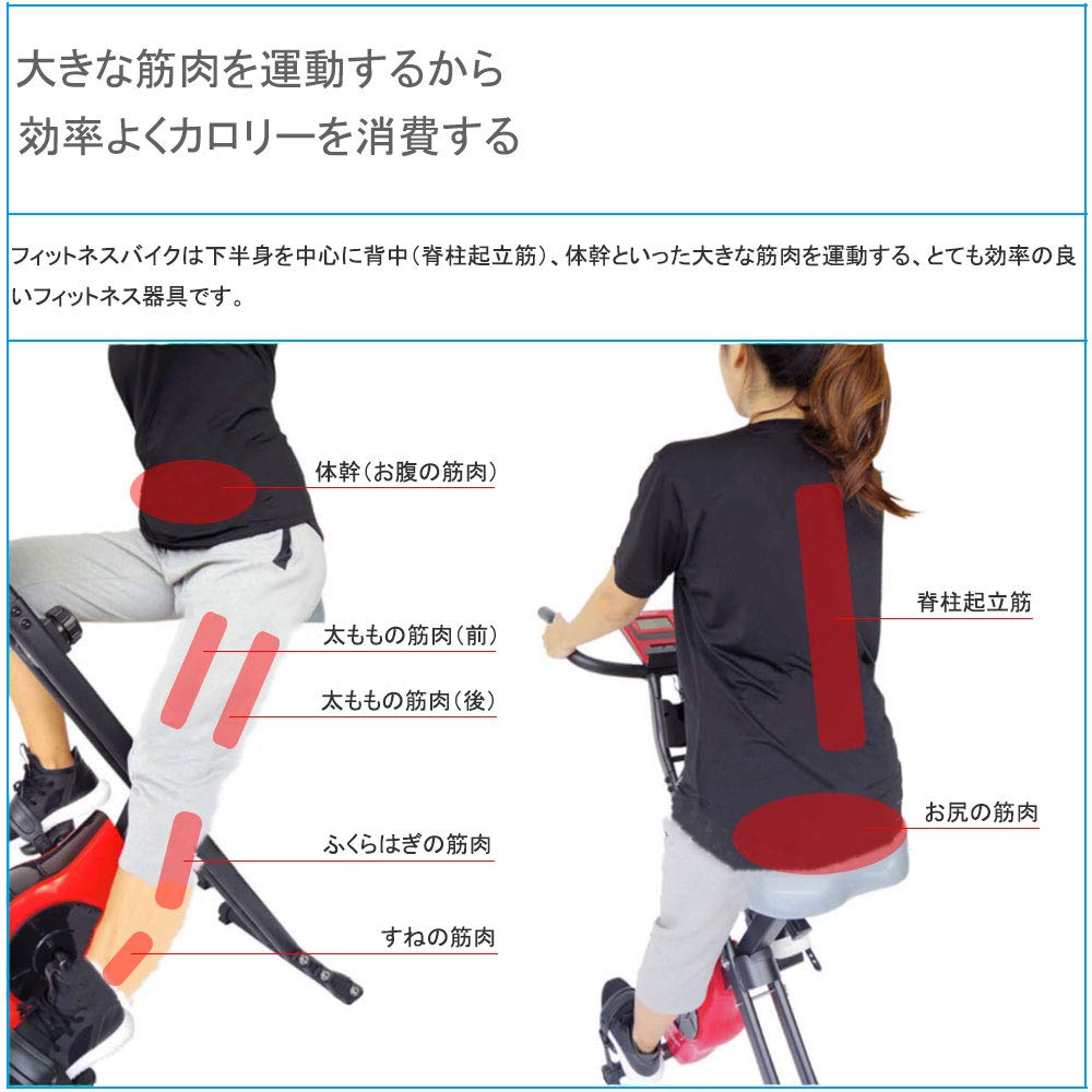 Amazon.co.jp: Xバイク フィットネスバイク小型 健康器具 スピン