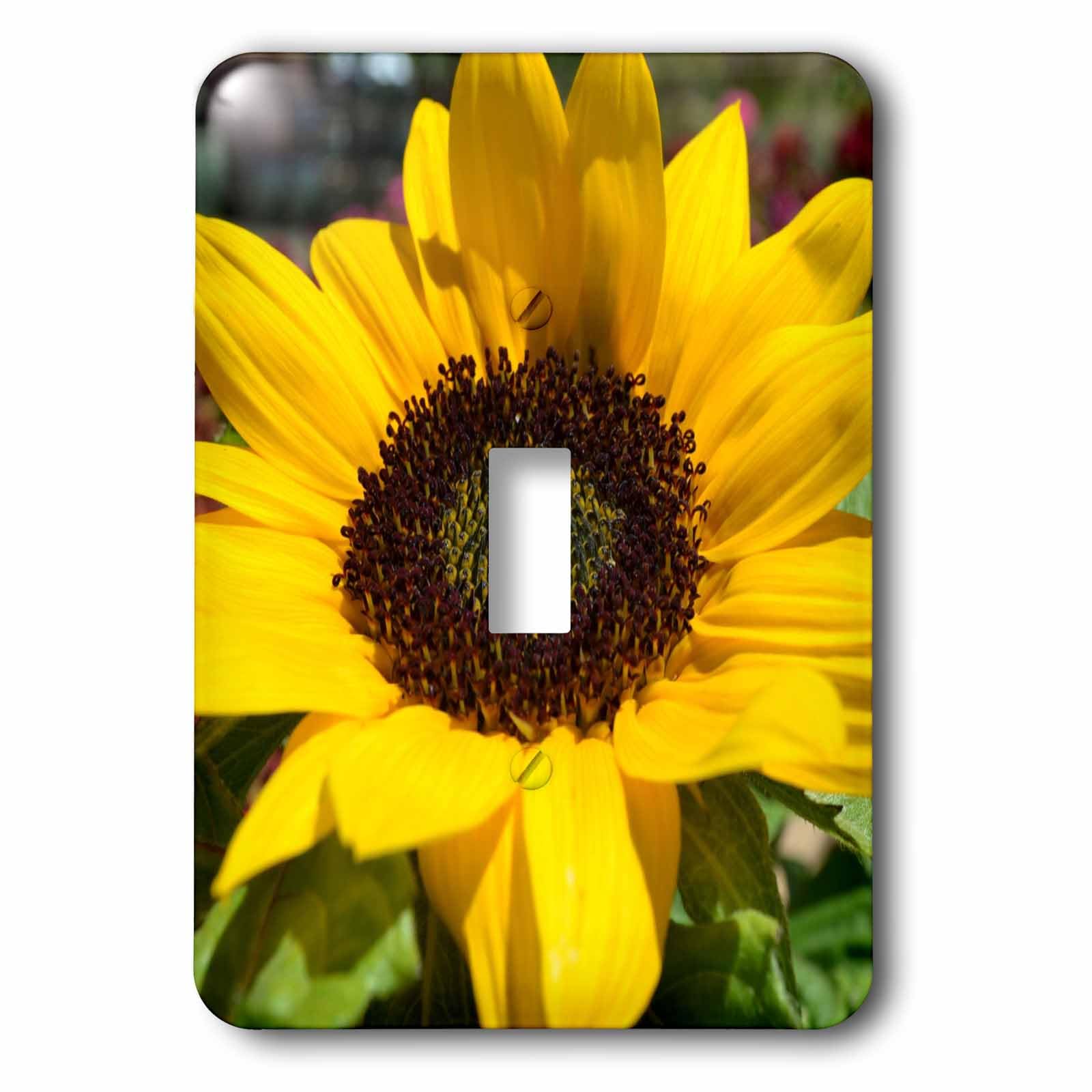 Interrupteur à bascule simple Tournesol Ii lsp_22705_1 pour commande eclairage interieur
