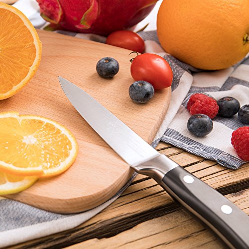 Paring Knife Fruit Knife Peeling Knife 4 Inch German HC Stainless Steel Small Sharp Knife with Non Slip Ergonomic Handle for Kitchen Cutting