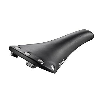 Amazon.co.jp: SELLE SAN MARCO 495C075 Bicycle Saddle Regal