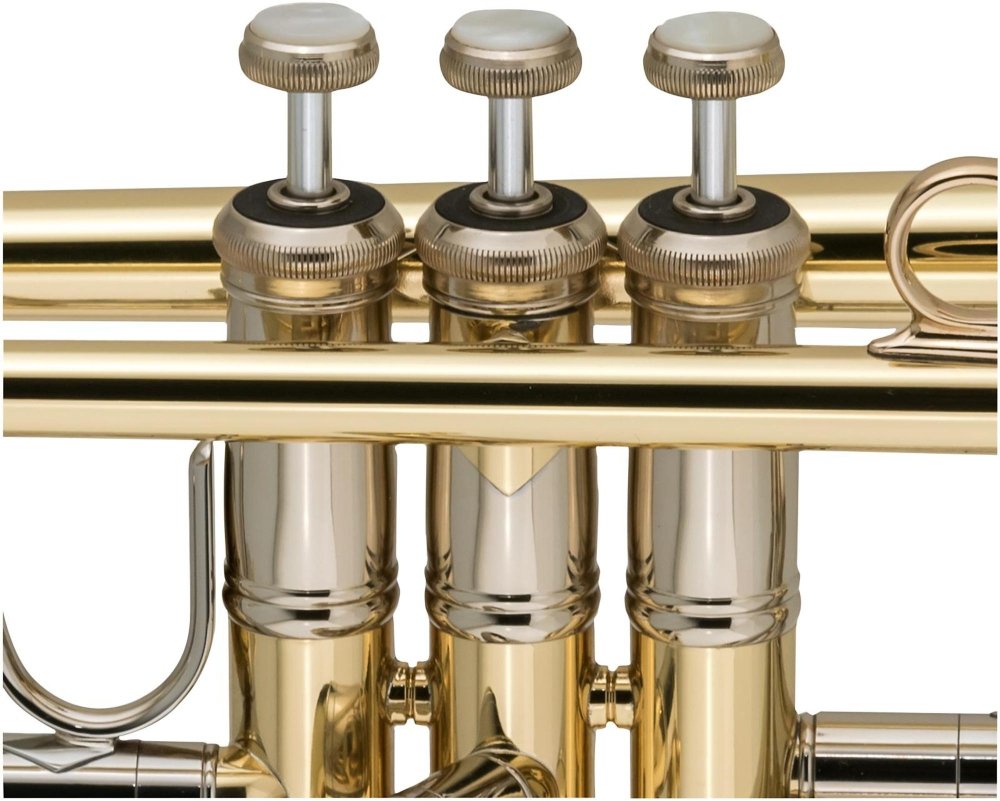Amazon.co.jp: Bach 19037 Stradivarius Series 50th Anniversary Bb