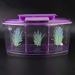 Aquarium, petit aquarium à trois zones, pour Betta et petits poissons (Violet)