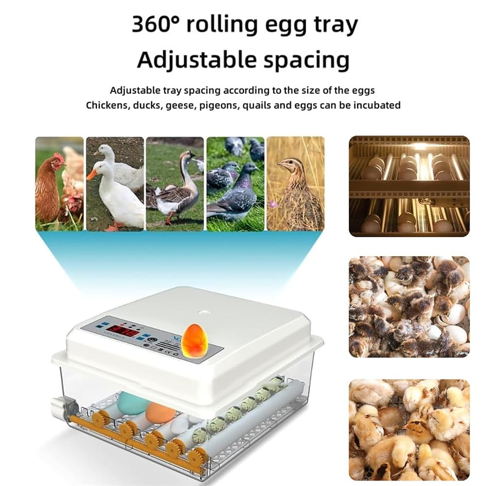 Incubadora De Huevos 64/120/176, Con Pantalla De Temperatura Y Humedad, Volteo Automático De Huevos, Dispositivo De Prueba De Huevos, Para Incubar Huevos De Gallina, Pato Y Codorniz,120