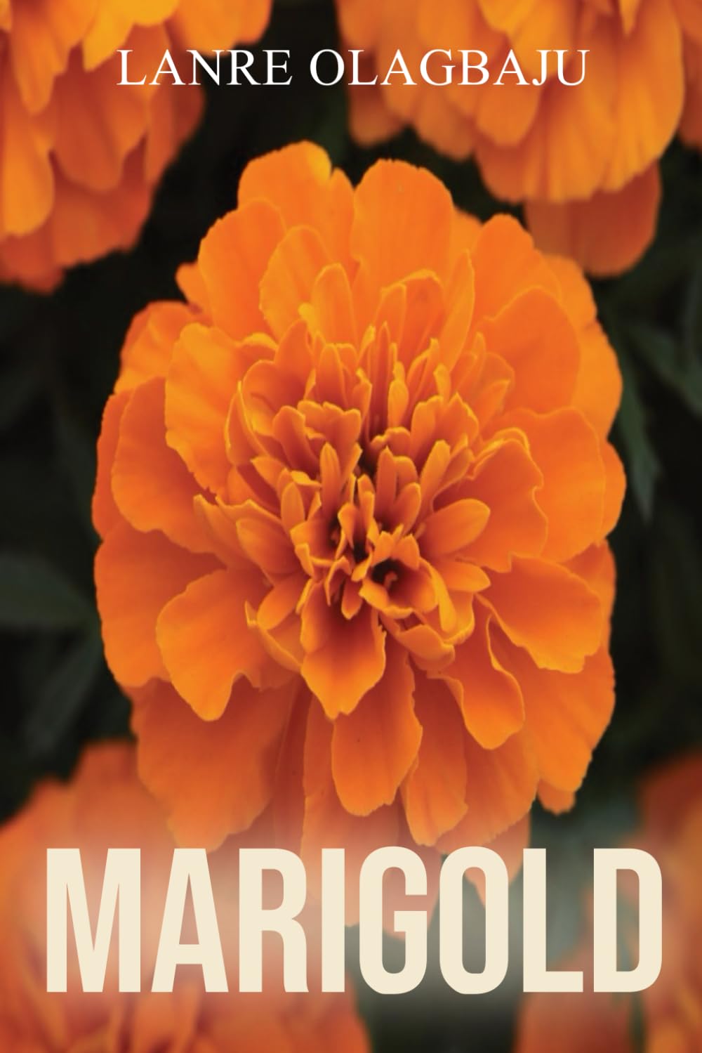Marigold