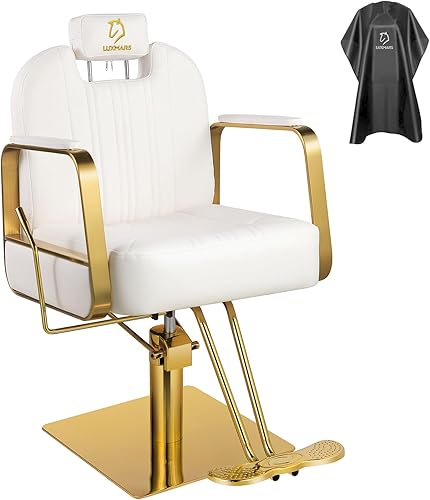 Silla de peluquería reclinable Silla de salón giratoria giratoria estilista hidráulica para peluquería 360 grados Salón de tatuajes Silla de spa de