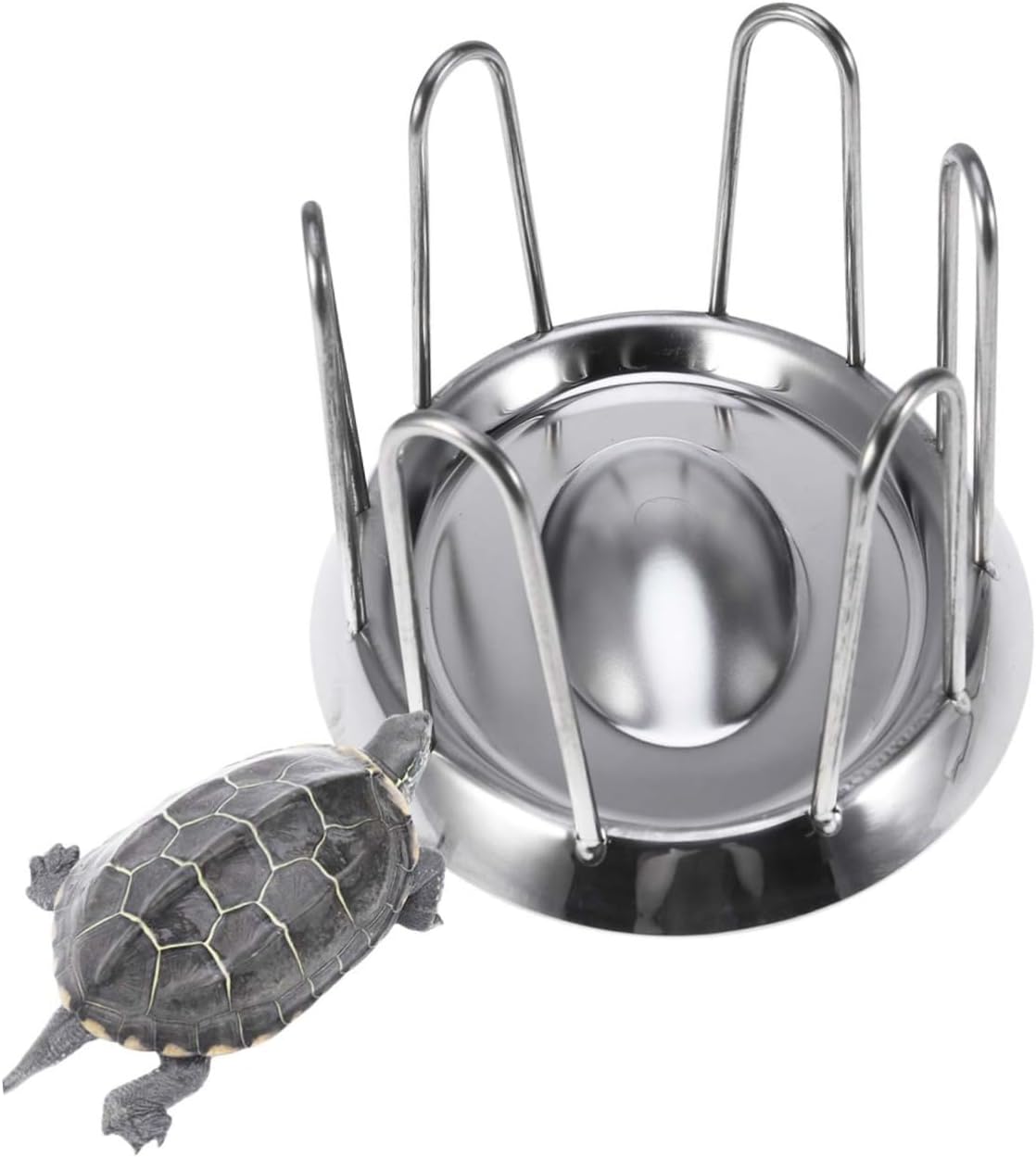 Yardwe Stainless Steel Tortoise Food Dish Reptile Feeder Bowl Dish Pet Supplies Material