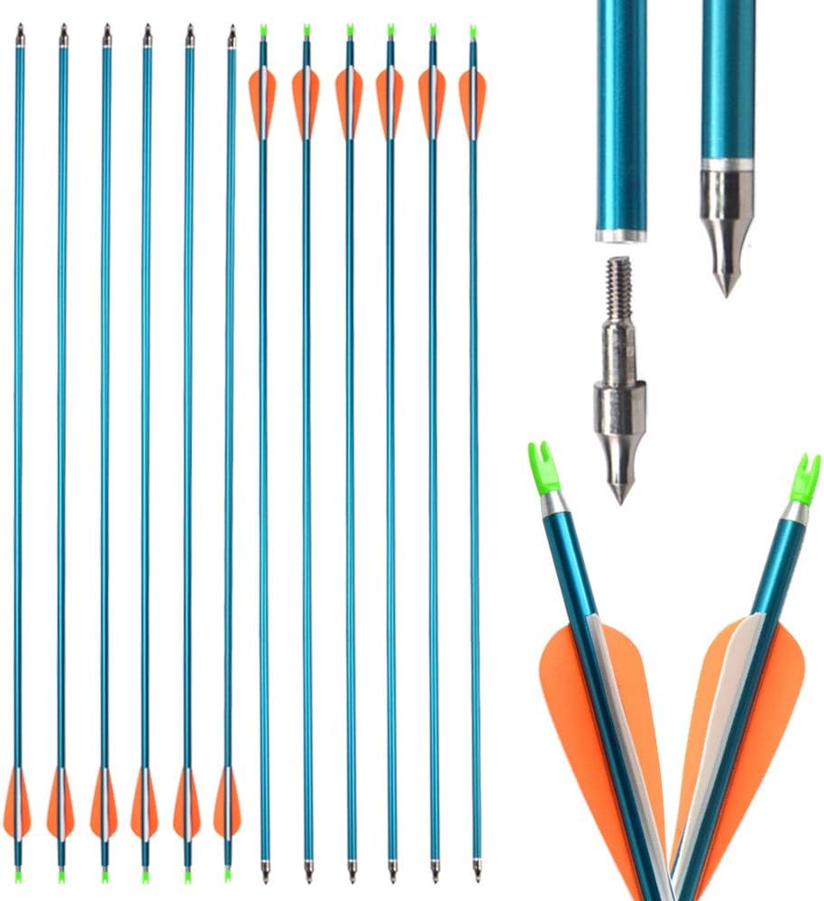 SHARROW 31'' Aluminum Arrows Spine 500 Hunting Targeting Arrow Practice Archery for Compound Bow Recurve Bow