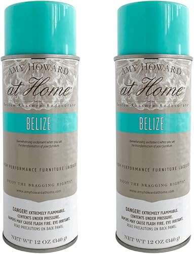 AMY HOWARD AT HOME Pintura en aerosol para laca de nitrocelulosa, paquete de 2 unidades, 12 onzas, laca en aerosol con acabado brillante para