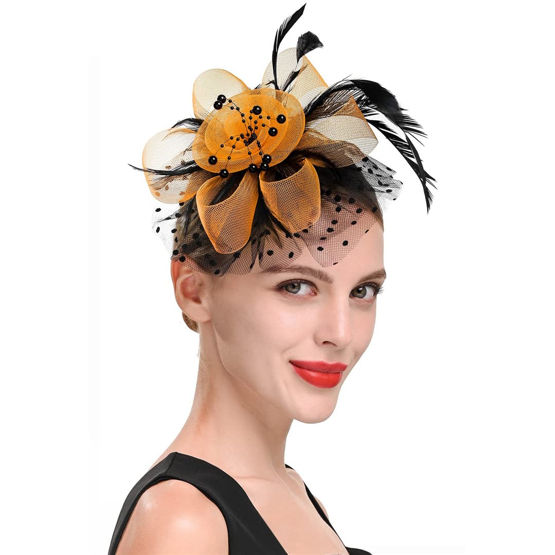 FBHappiness Fascinators Women Flower Mesh Ribbons Feathers Hat Headpiece Or A Clip Cocktail Tea Party Headwear ，Cocktail Hats