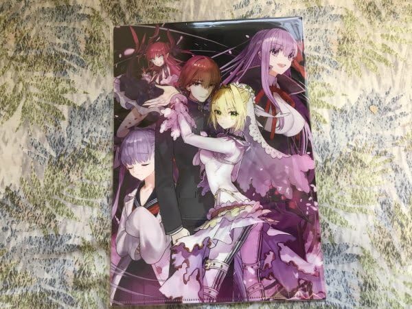 Amazon.co.jp: d249クリアファイル FGO Fate Grand Order 画集 愛