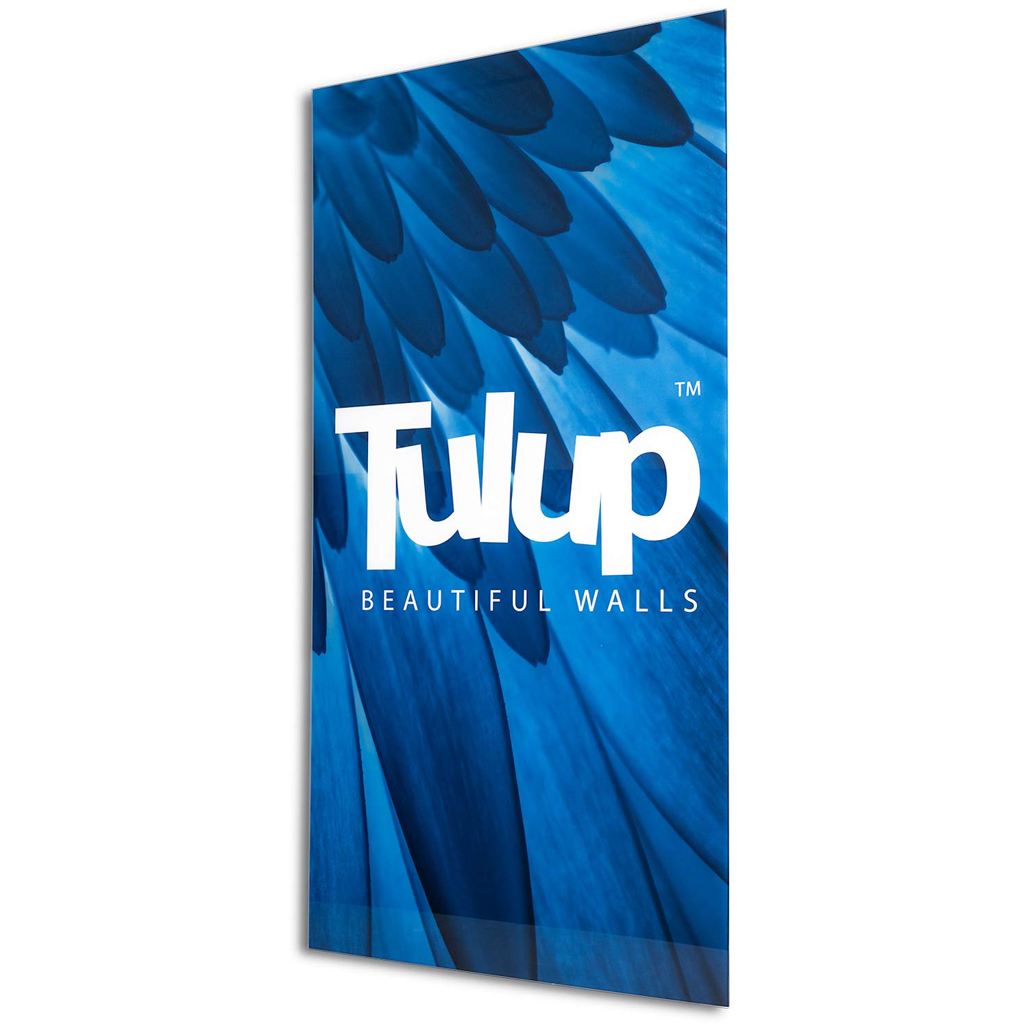 Tulup Impresión en vidrio - 70x100cm - Cuadro sobre Vidrio - Pinturas en Vidrio - Cuadro en Vidrio - Impresiones sobre Vidrio - Cuadro de Cristal - Cuarto De Los Niños - Rosado - Ratón De La Bailarina