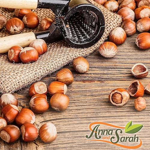 Image of Anna and Sarah Large Oregon Hazelnuts in Shell in Box, 5 Lbs