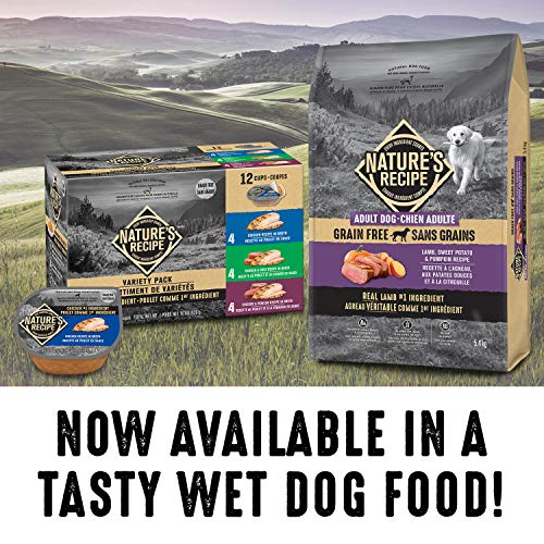 Nature's Recipe Adult Grain Free Natural Dry Dog Food Lamb, Sweet Potato & Pumpkin Recipe 10.8 kg (Pack of 1) image 3