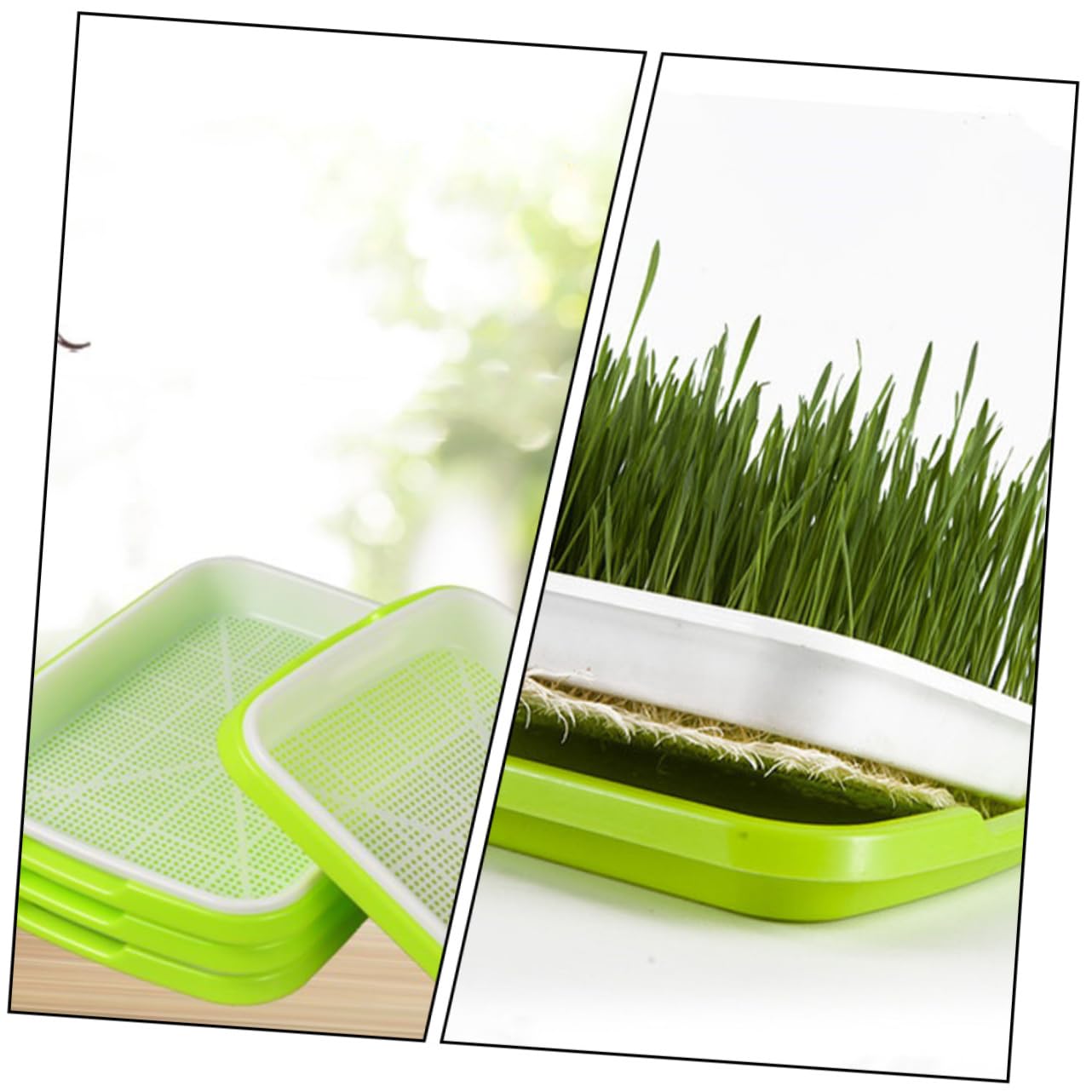 BESPORTBLE 5 Pièces Plateau de Germination Hydroponique Plateaux de Culture Sol Plateau de Germination Pratique