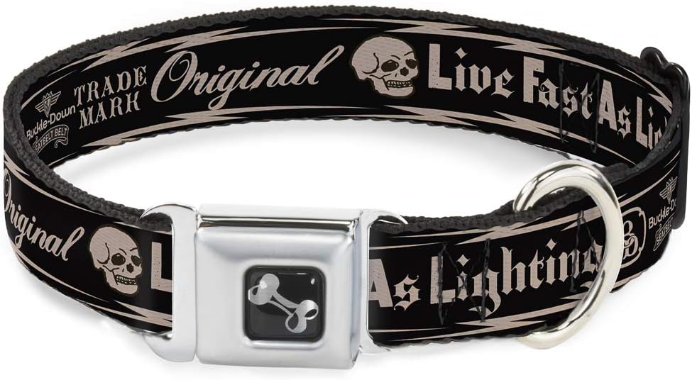 Dog Collar Seatbelt Buckle Buckle Down Skull Live Fast As Lightning Black Light Orange 9 to 15 Inches 1.0 Inch Wide